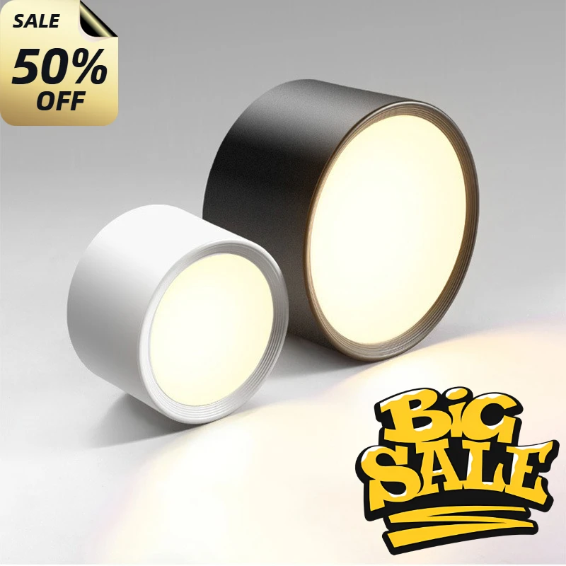 

High Quality Small Ceiling Lamp Surface Mounted LED Downlight For Living Room Bedroom Kitchen Corridor Down Lights