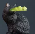 black cat