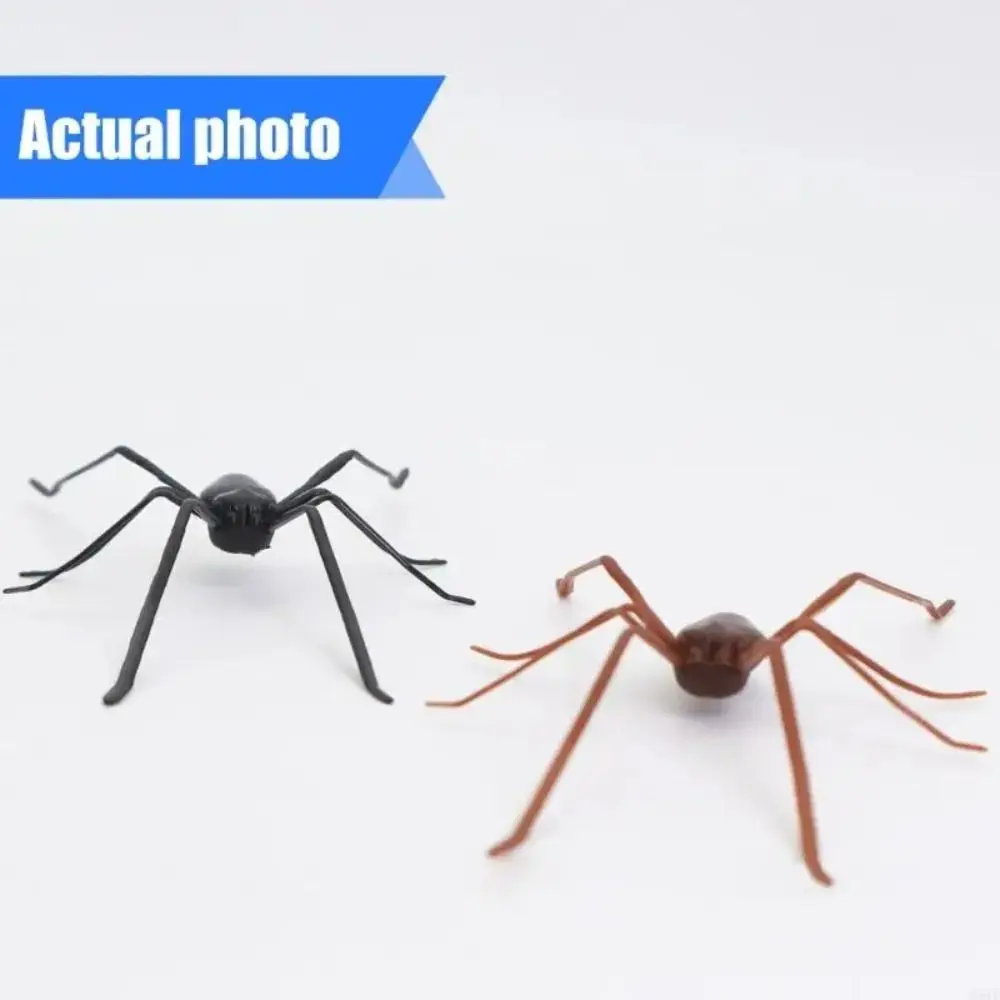 Fridge Magnet Magnet Simulation Spider Funny 3D Design Spiders Decoration Realistic Look Animal Spider Prank Halloween Party
