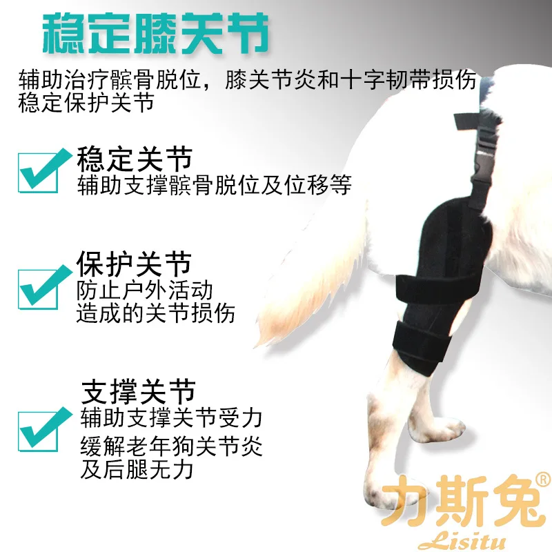 دعامة دعم الركبة للكلاب، دعامة لربط الرضفة، حزام تثبيت بعد الجراحة، دعم لكسر الساق الندية تيدي