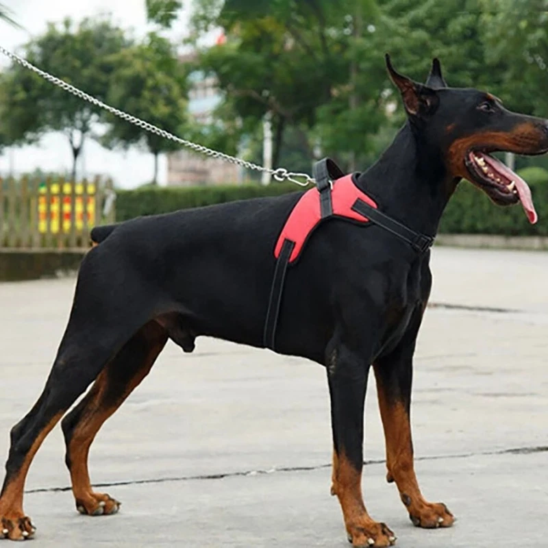 Honden Verstelbaar Harnas Klein En Groot Hondentuigvest, 150Cm Sterke Hondenriem Huisdier Riemen Reflecterende Riem Slepen Slepen Slepen