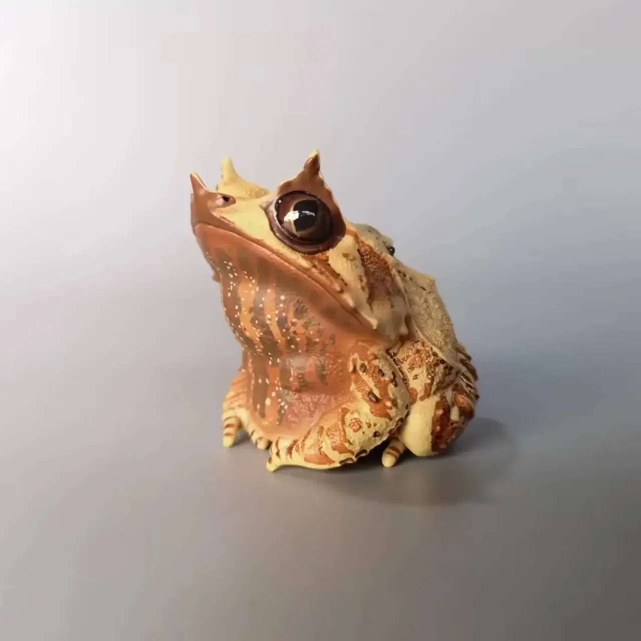 1pcs Small Size Megophrys Nasuta Frog Chacophrys Pierottii Oophaga Pumilio Bastimentos Animal Toy Figure Model With Retail Box