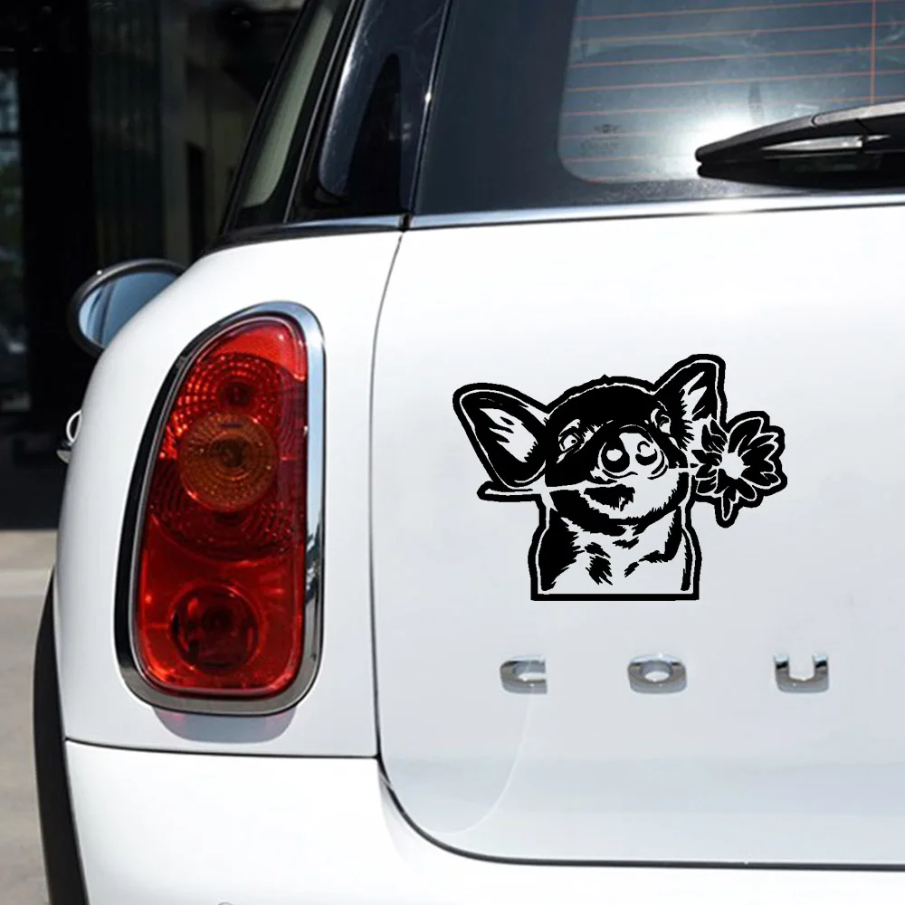 Cartoon Pig Car Stickers Reflective Decoration Waterproof Vinyl Funny Crazy Cat Car Sticker Accessories For Mazda Cruze Peugeot