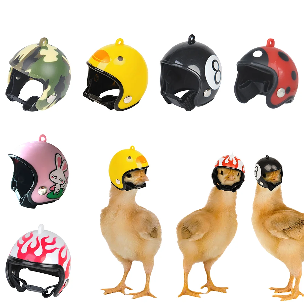 Casco de Protección para Aves, Gorro para Pollos y Gallinas, 1 Pieza
