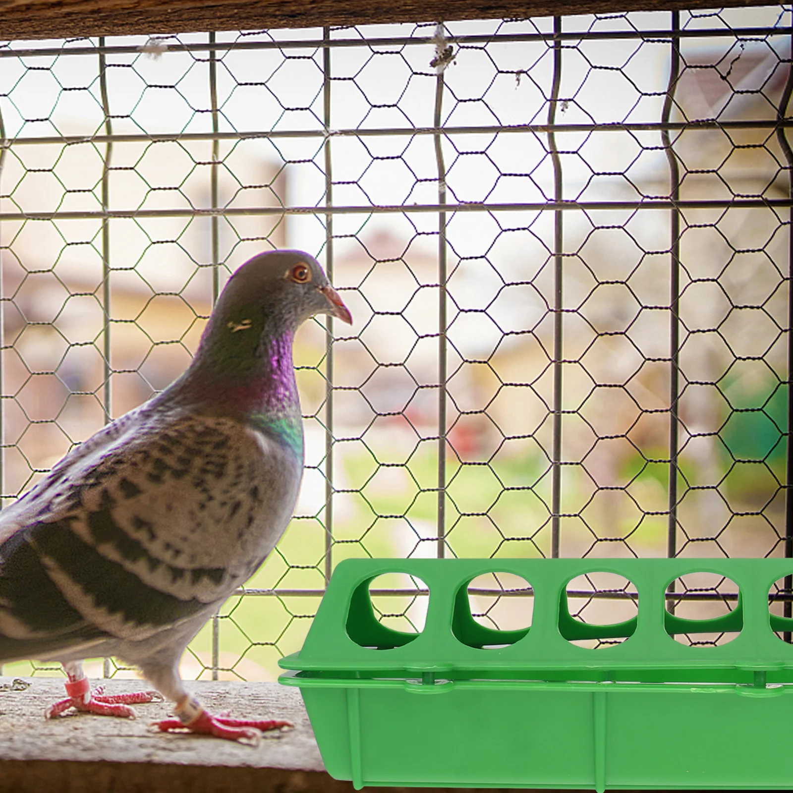 Alimentador de comida colgante para jaula, fácil de limpiar, sin residuos, diseño con múltiples ranuras, alimentador para aves de corral, contenedor de comida para pájaros, 3 uds.