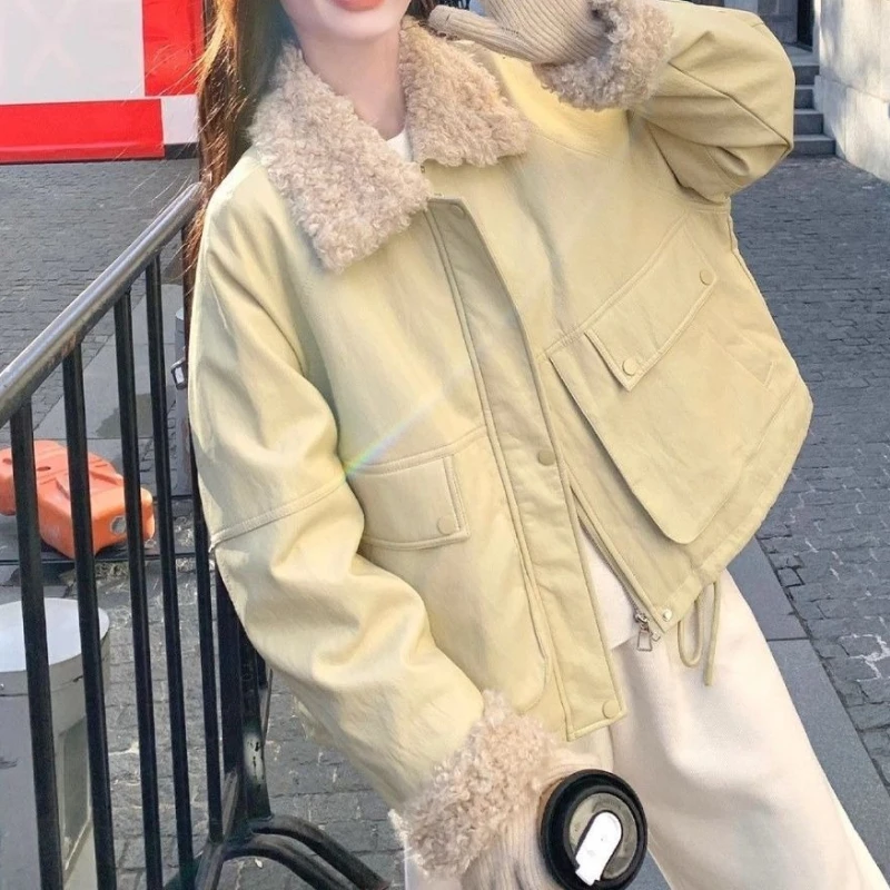 

2025 Autumn and Winter Plush Thickened Lamb Wool Splicing Top Women's New Design Sense Small Short Coat