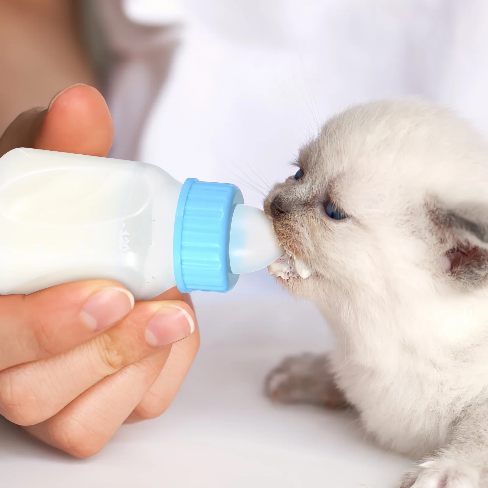 

1Set 120Ml Pet Nursing Kit Food Grade Bite Resistant Milk Feeder For Puppy Kitten Animals Portable Feeding Bottle Puppy