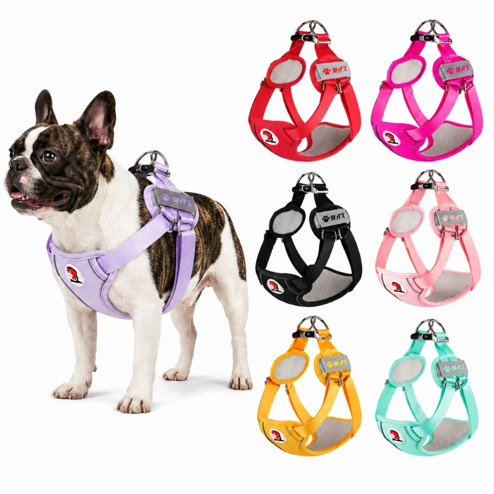 Custom Reflective Dog Harness, Personalized No-Pull Pet Vest with Paw Name Patch, Adjustable Breathable Training Harness for Dog