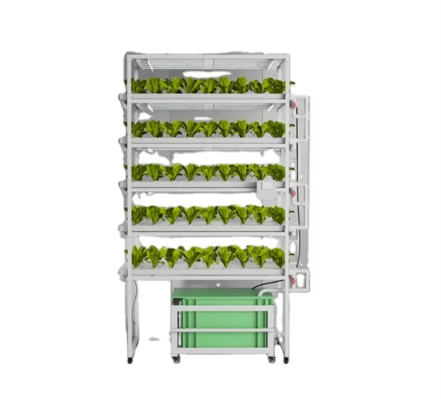 مجموعة النمو المائية للاستخدام المنزلي والتجزئة مع مكونات أساسية لمحرك المضخة للبستنة والزراعة #3