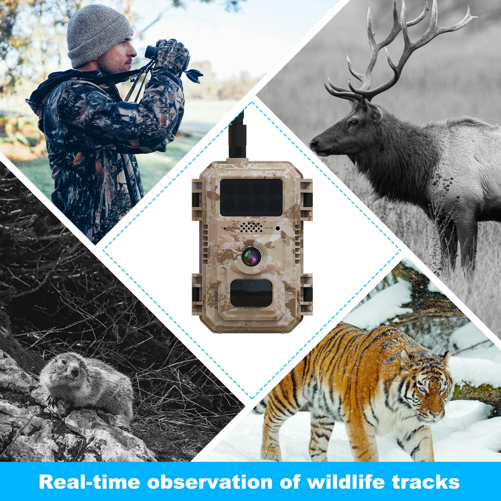 Motion Detection Hunting Camera with Solar Cctv  Outdoor Night Vision Forest Deer  Wildlife Game  for EU