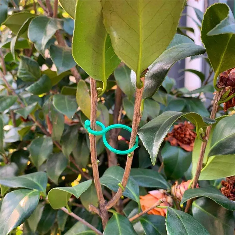 50PCS Plant Twist Clip Ties Garden Plant Support Clips Vegetables Tomato Vine Flower Clips Plant Locks For Plants Durable 4Cm Ec