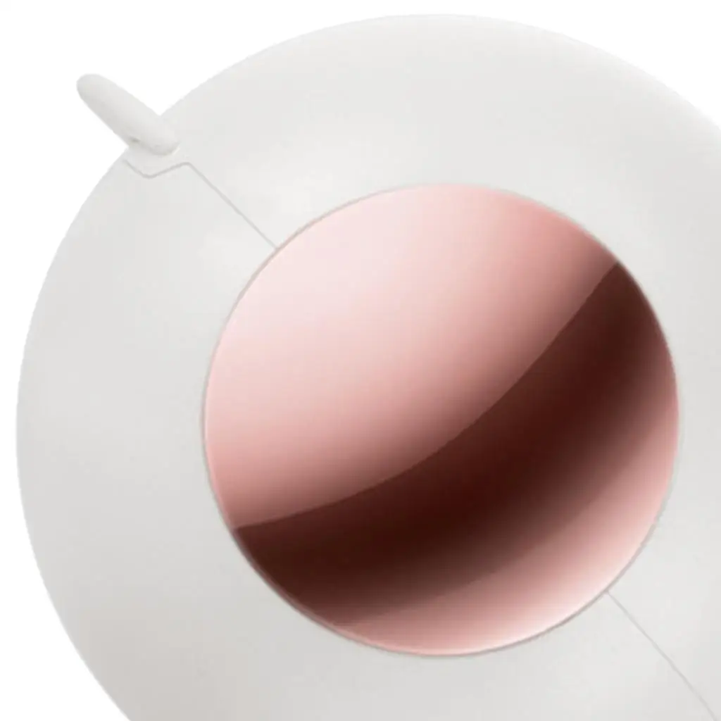 Ball Fabric Shaver Reusable for Pet Hair Dust Fluff Blanket Carpet Laundry