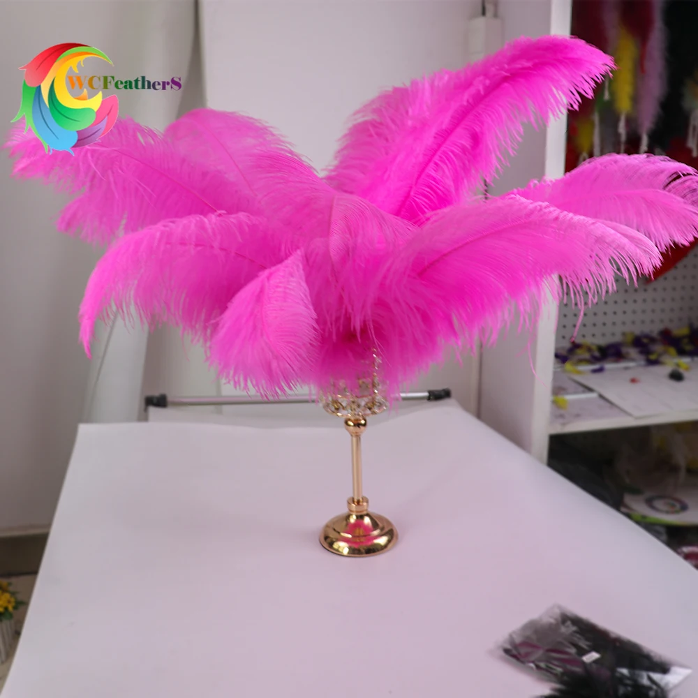 

50Pcs Natural Ostrich Feather 50-55cm pink Plumes for Wedding Carnival Party Decorative Feathers Table Decoration & Accessories