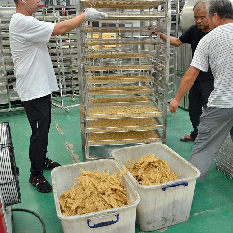 Banana Chips Drying Machine Fruit Drying Machine Food Dryer Machine