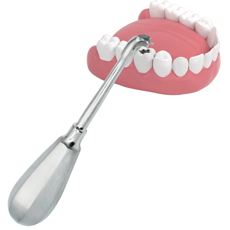 Dental Root Elevator Cross Broken Crown Remover Tooth Crown Spreader Drill Dentistry Restoration Forcep