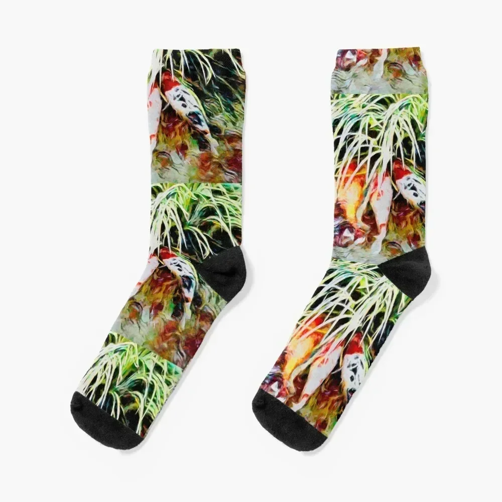 

Koi 27 Socks colored warm winter cartoon Mens Socks Women's