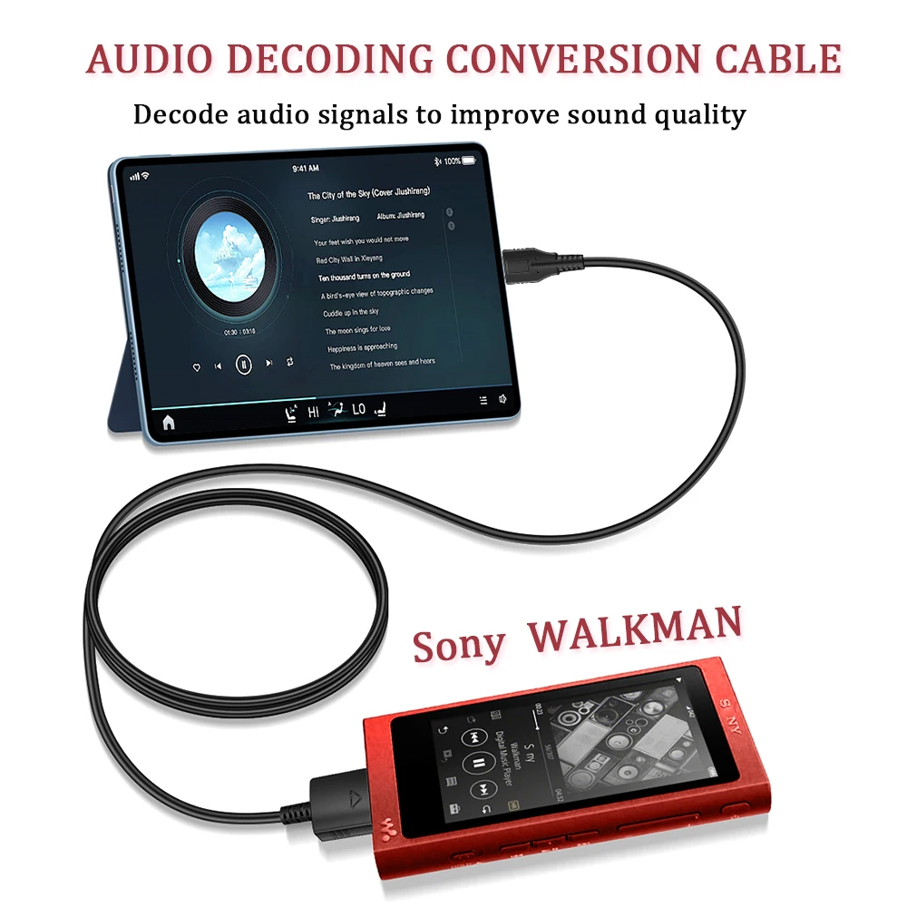 

Sony Walkman audio decoding cable,for NW-ZX1,ZX2,XZ300A,WM1Z,ZX700,A306,Walkman Connect TYPE-C port Android phone/computer cable