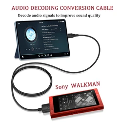 Sony Walkman audio decoding cable,for NW-ZX1,ZX2,XZ300A,WM1Z,ZX700,A306,Walkman Connect TYPE-C port Android phone/computer cable