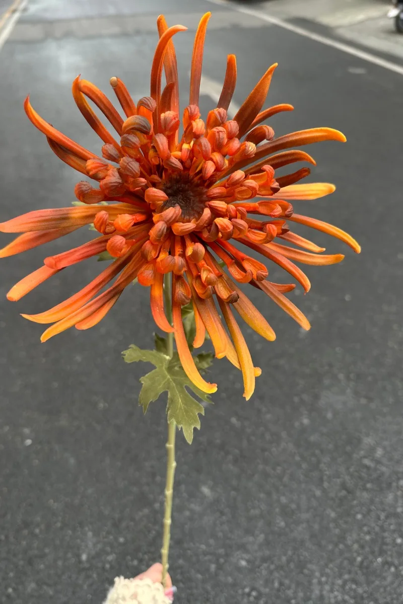 3 Stück Künstliche Latex-Chrysanthemen Plastikblumen Hochzeitsdekoration Blumenarrangement Heimdekoration Party Blumen Foto-Requisiten – Detail 4