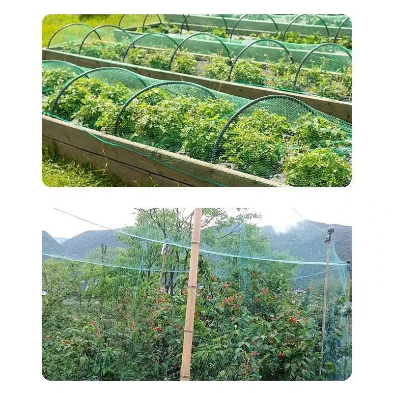 庭用の緑の織りメッシュネットバリア - 植物、果物、花を害虫から保護します。