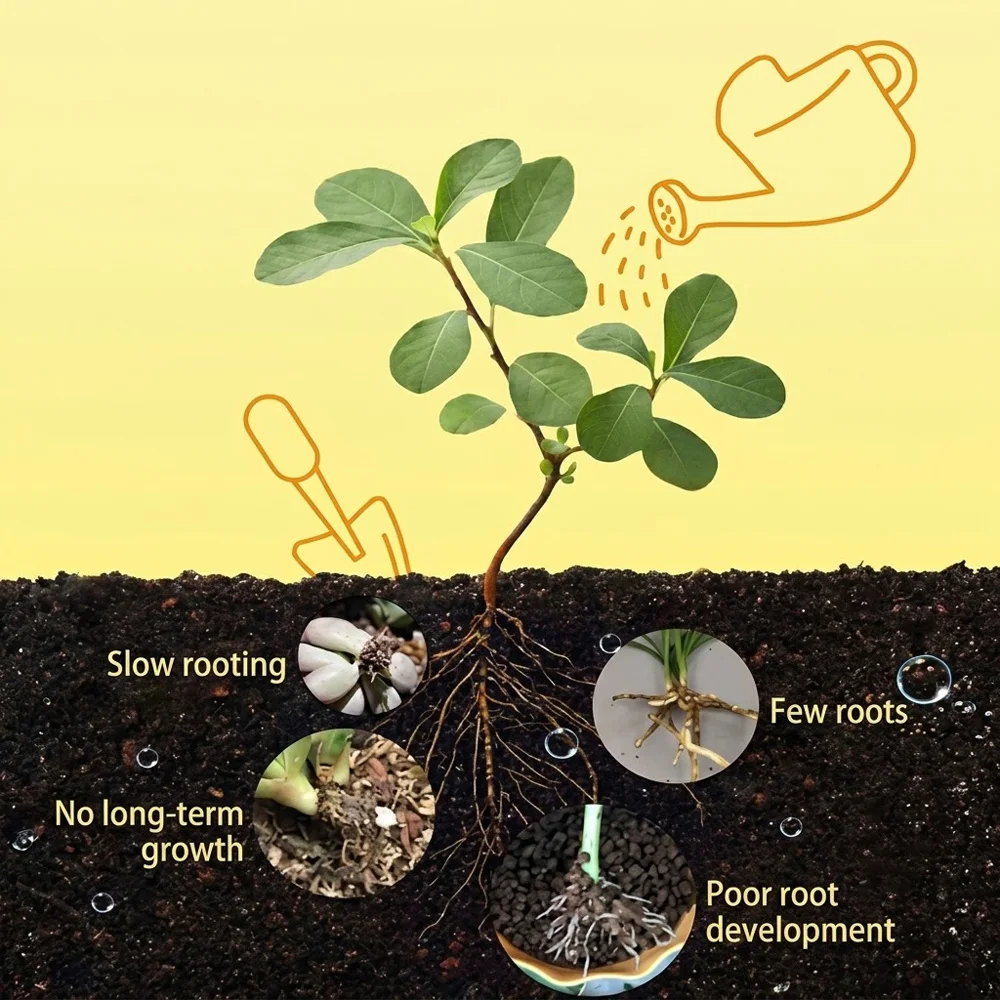 Sukkulenten-Rooting-Flüssigkeit Pflanzenwachstums-Nährstoffergänzung für Stecklinge, Sämling, Rosen, Orchideen Pflegezubehör Werkzeuge Ausrüstung – Detail 4