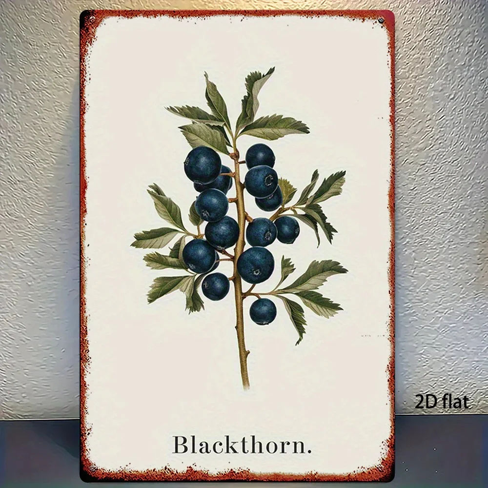 DecoracióN AgríCola…