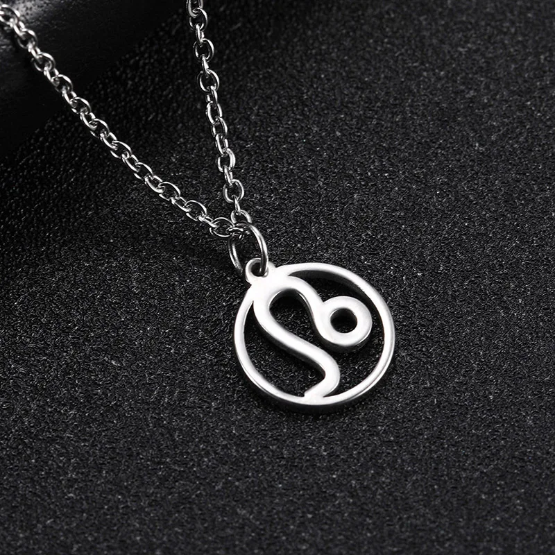 HIPEE Fashion Simple Stainless Steel Necklace The Twelve Signs Of The Zodiac Round Skeleton Leo Taurus Pendant Necklaces Jewelry