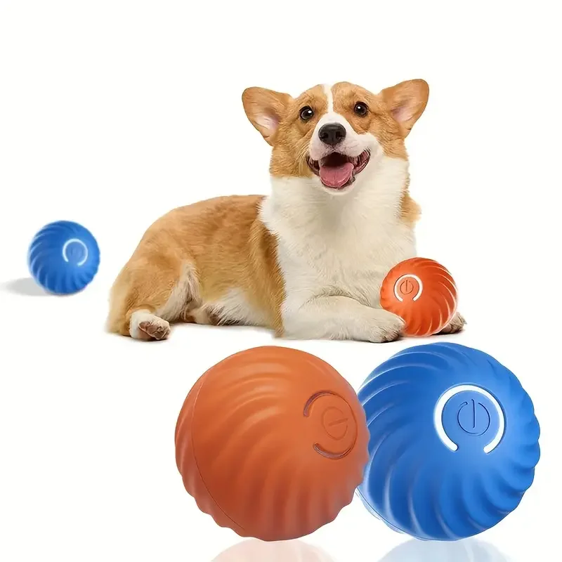 1Pc Interactive Aut…