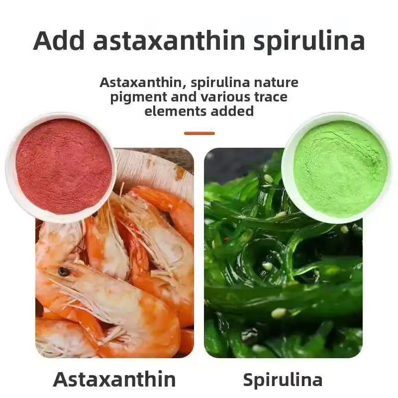 High Protein Spirulina Astaxanthin Mini Parrot Fish Food Micro Pellets Fish Feed For Dwarf Cichlids,Guppies,Tetras,Baby Fish view 4