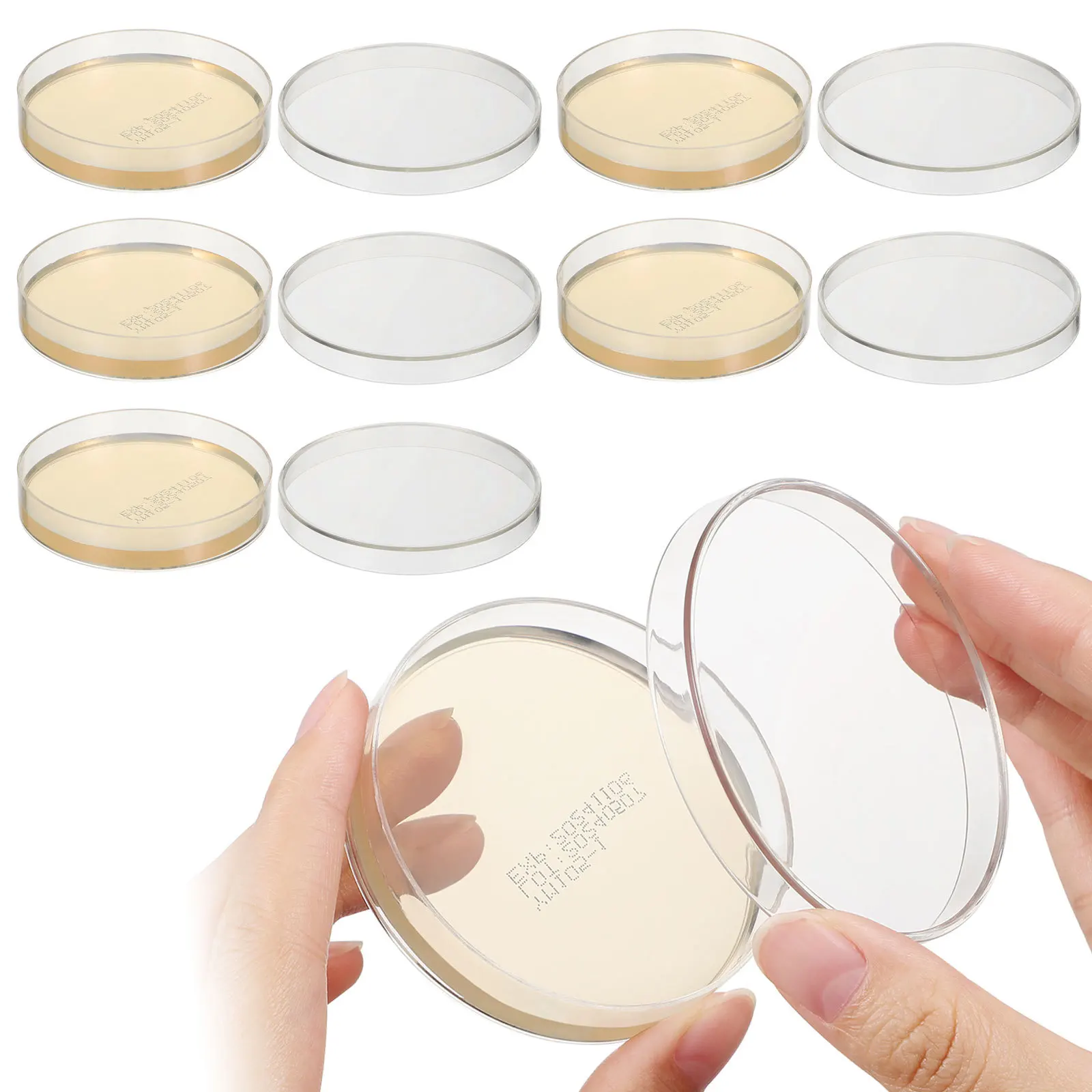 6-pezzi-6-pezzi-forniture-per-esperimenti-scientifici-piastre-di-agar-preparate-piastre-di-petri-trasparenti-pre-versate