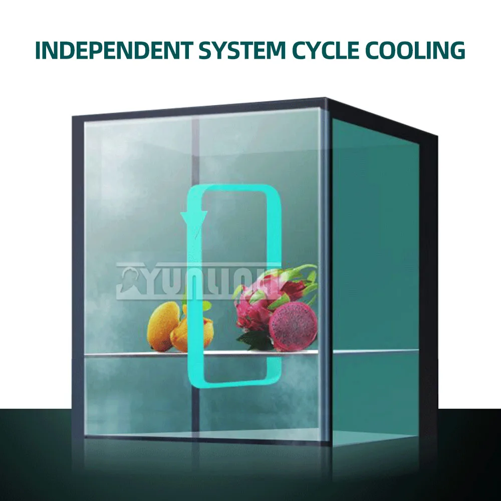 2025 Mini frigorifero portatile 12L Frigorifero per auto Congelatore Dispositivo di raffreddamento e scaldino per uso domestico in auto Conservazione di bevande cosmetiche per la cura della pelle