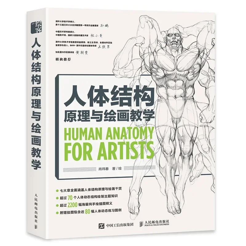 Human Anatomy For Artists Human Body Structure Principle and Painting Teaching Book Anime Game Figure Copy Art Collection Book