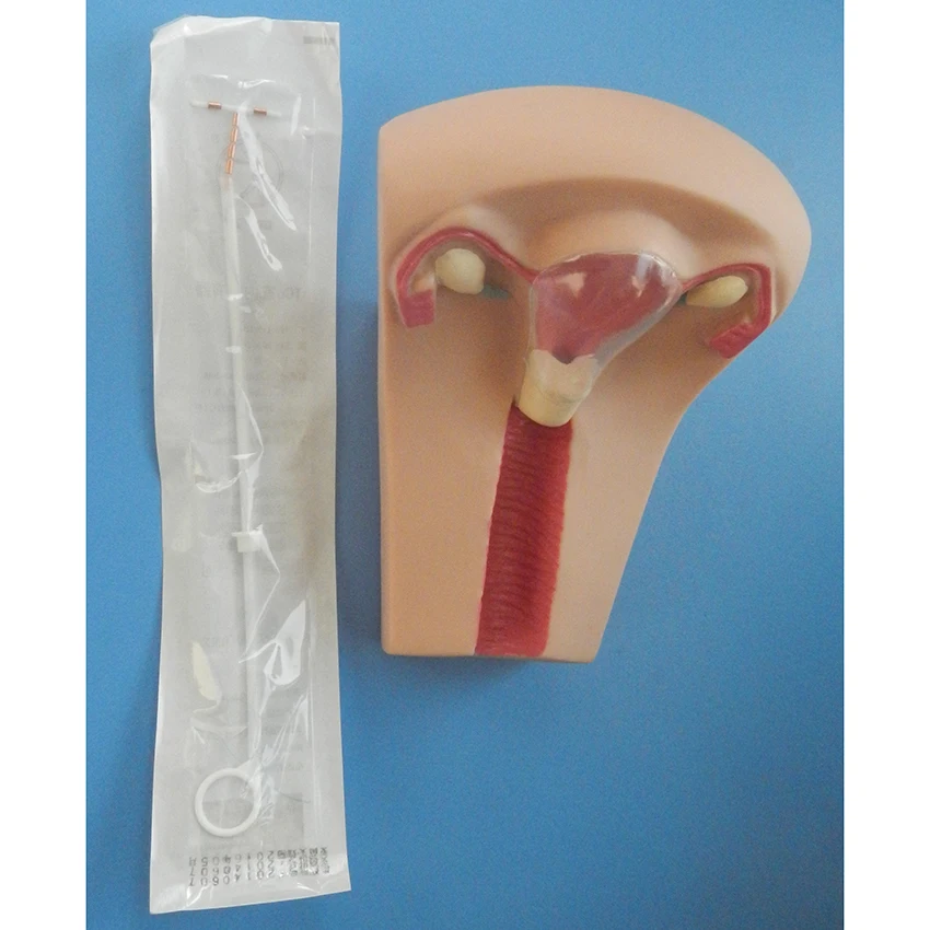 

Advanced Female Contraception Training Model, IUD Simulator