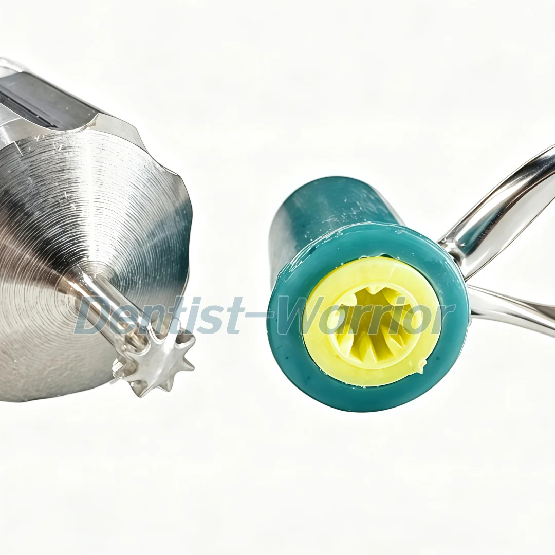 Dental-Stahl-Matrix auf Spule  – Reel Handle Bewertung und Preis