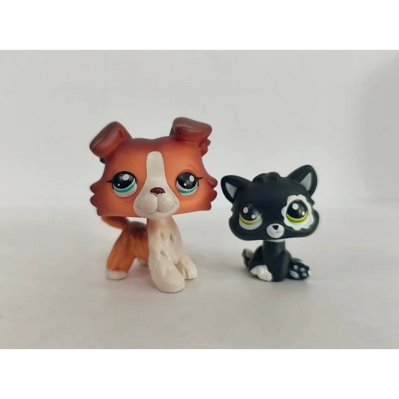 2 szt./partia Mini Zabawka dla Zwierząt Domowych - Pies Collie, Czarny Kotek # 1542 figurki zwierząt LPS