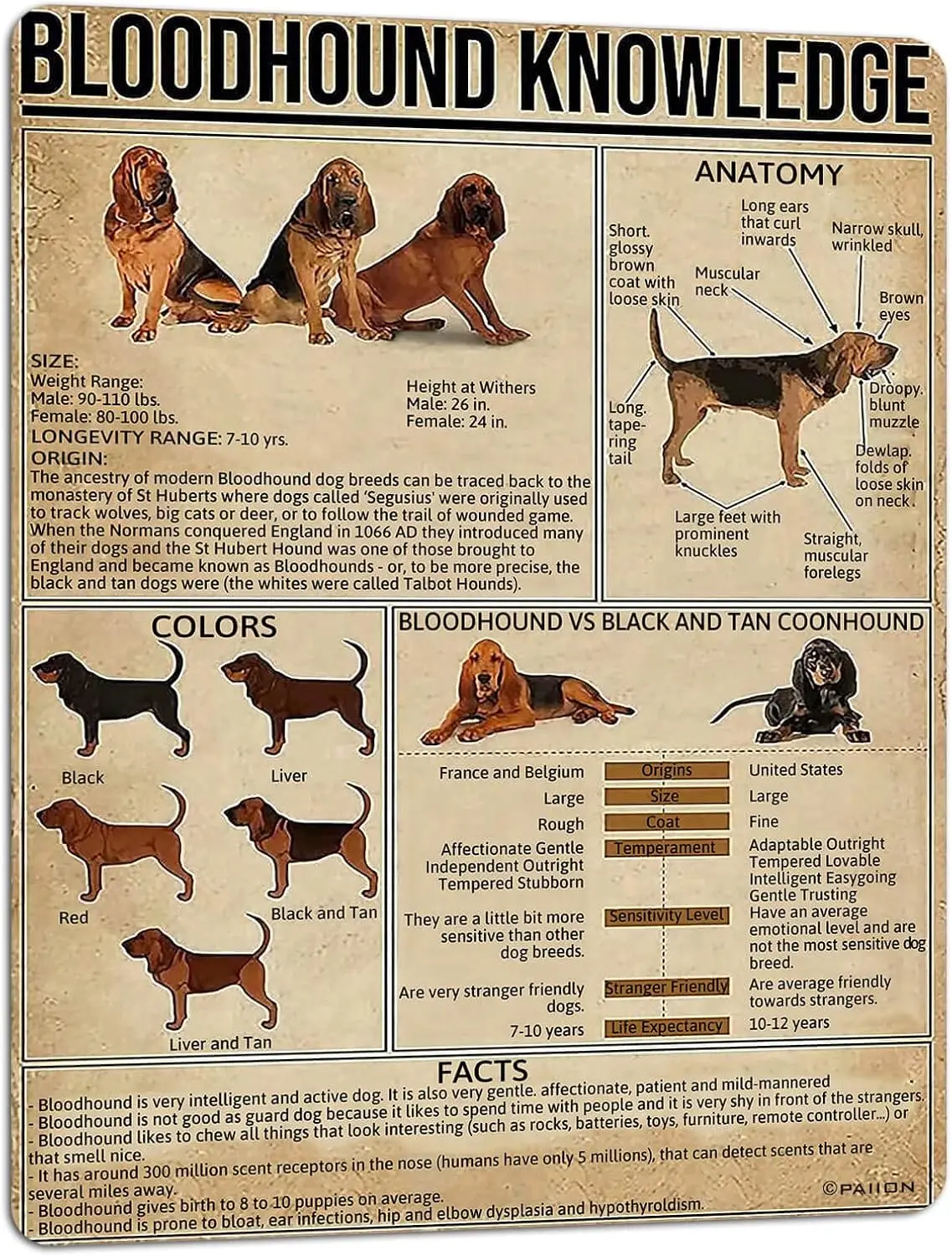 PAIION Dog Knowledge Metal Tin Sign Bloodhound Anatomy Chart Poster Retro Pet Shop Farm School Club Home Wall Decoration -alu