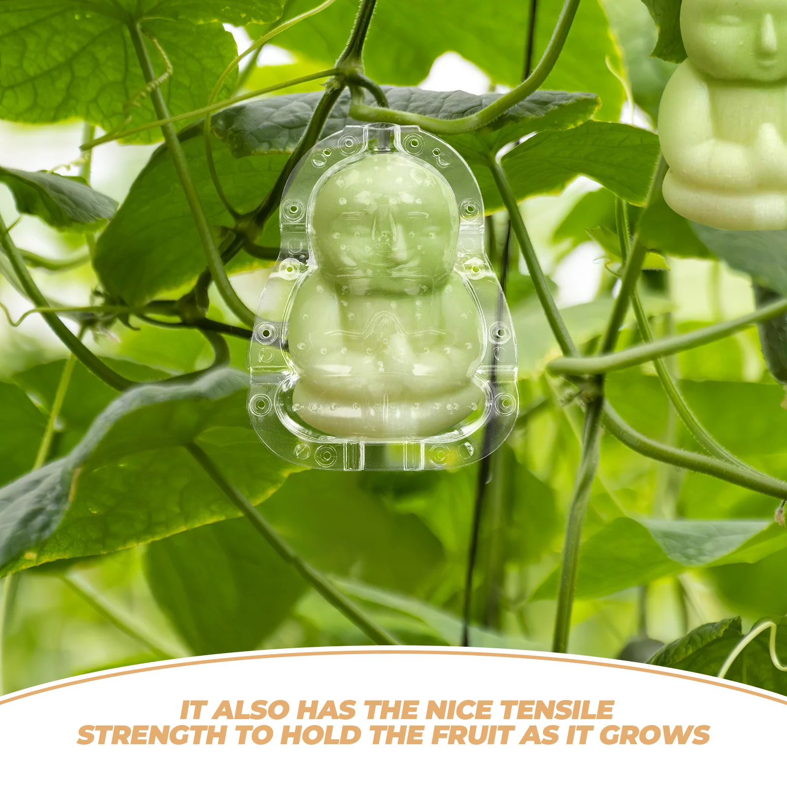 2 قطعة قالب تشكيل بوذا قالب فاكهة شفاف قطعة لزراعة البطيخ أداة تشكيل الجينسنغ اللطيفة مستلزمات الحديقة المفضلة