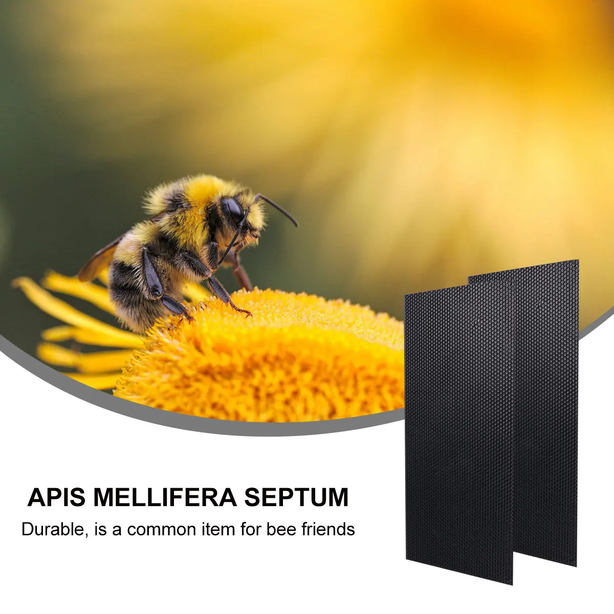 

10 Pcs Keeping Plastic Nest Foundation Bee Hive Beekeeping Tools Plate Bees Base