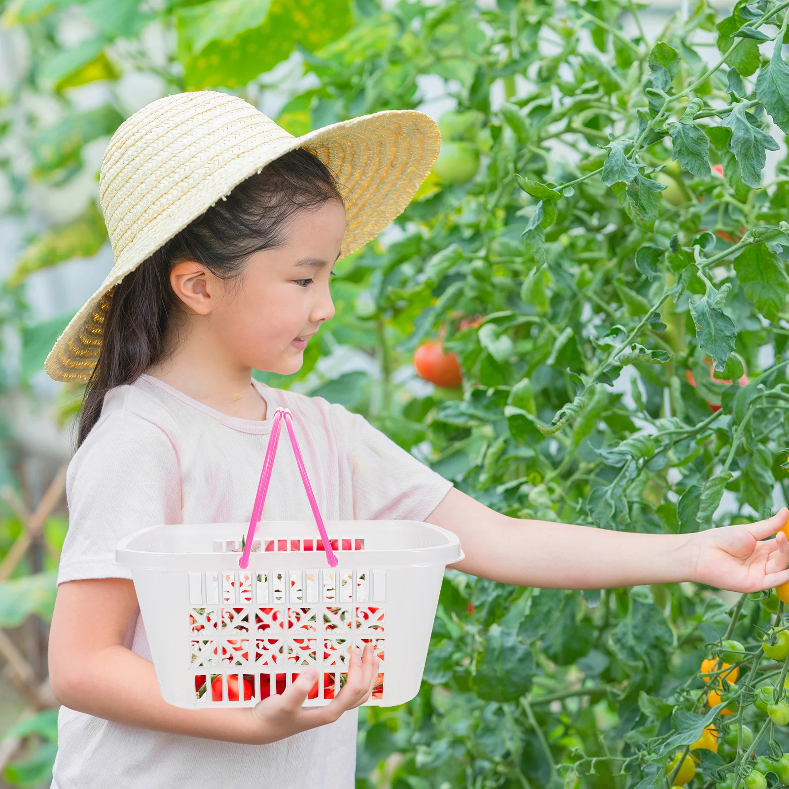 

Plastic Fruit Basket Market Baskets Small Bulk Boxes Picking Produce Farmers Hamper