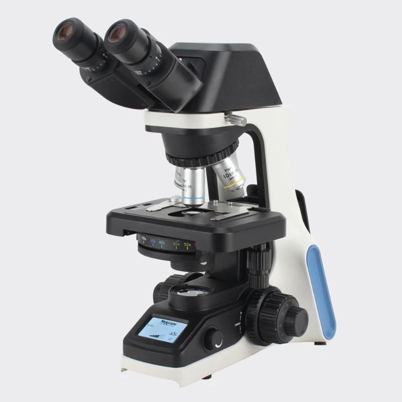 

NE300 binocular biological microscope, trinocular can be equipped with ccd camera screen projection photography biological
