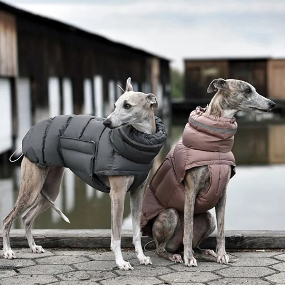 Autumn and winter style thickened warm, waterproof, and windproof two legged pet vest cotton jacket