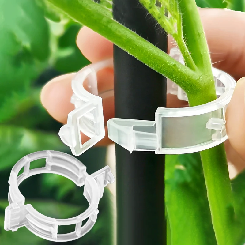 50-500PCS Plant Supports Clips For Climbing Reusable Vegetables Vine Connects Fixing Clips Garden Tomato Stem Grafting Fix Tools