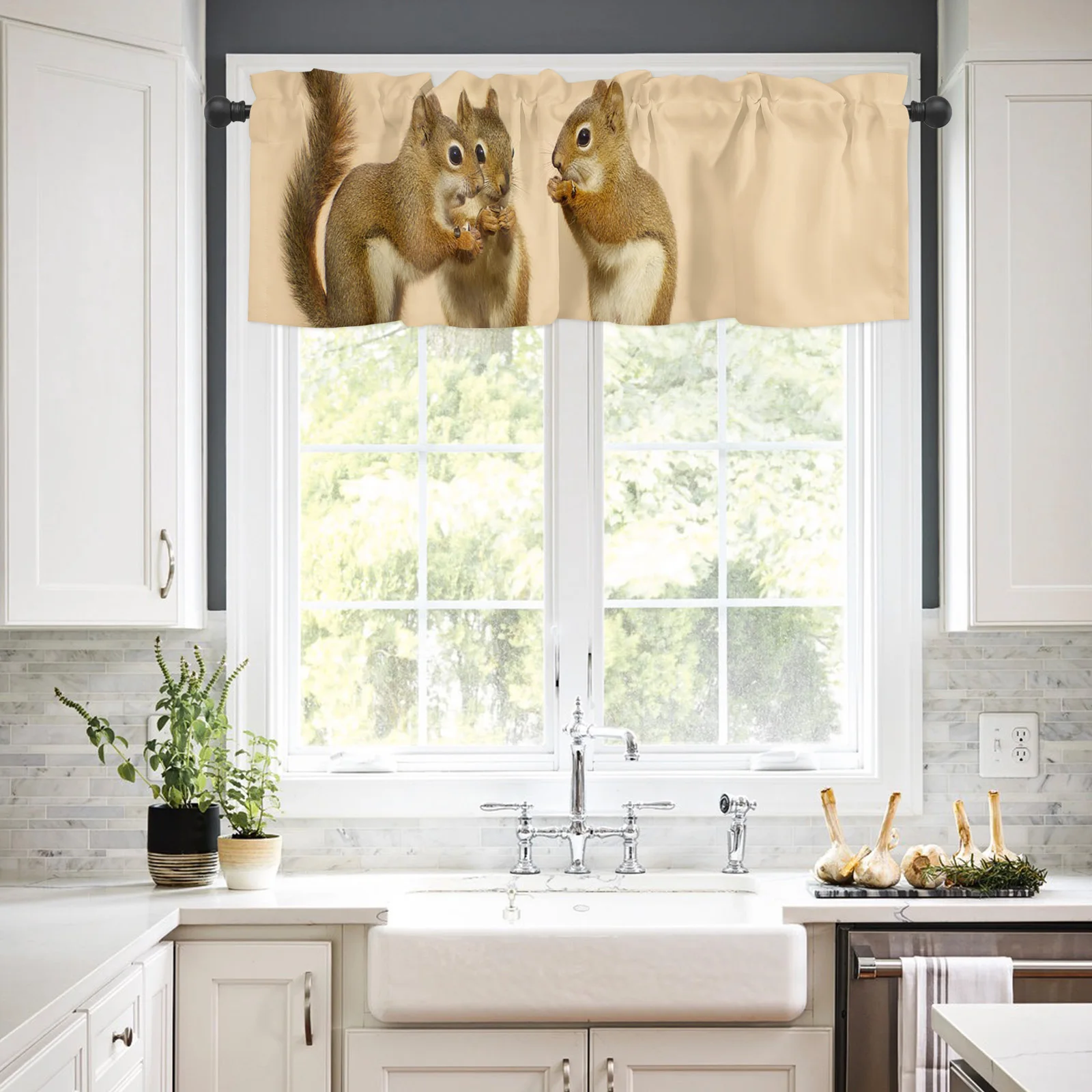 Valances for Windows Kitchen Living Room Small Window Valance Animal Squirrel Chinchilla Eating Sunflower Seeds Bark 1 Panel