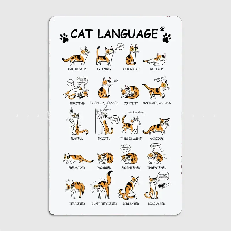 Cat Language  Exquisite Plaques Featuring ，Great Addition To Your Home and Bar Decor，Easy and Convenient To Mount