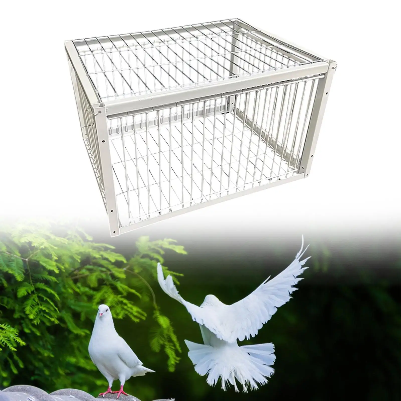 

Автоматическая клетка для голубей, утолщенная, устойчивая к побеге клетка для курятника для гонок, голуби, фермы, гаражи, сады, товары для птиц