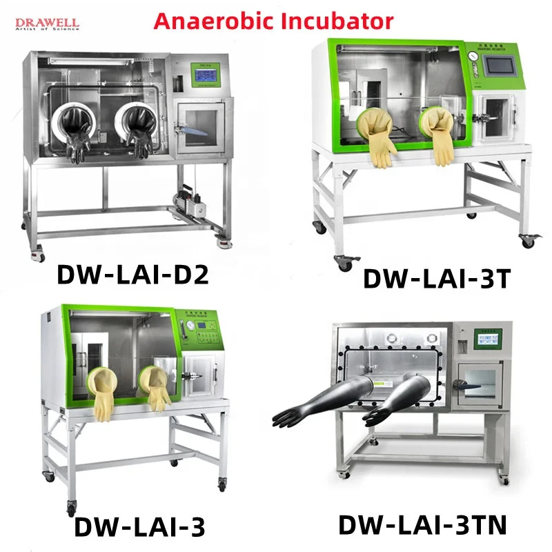 Best Price Microbiology Incubator Machine Work Station  Complete Set Anaerobic Chamber