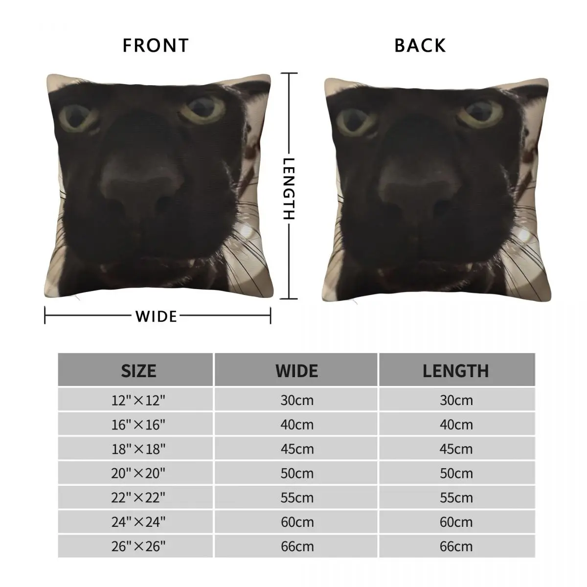 Evil Larry Balck Cat Square Pillowcase Polyester Linen Velvet Printed Zip Decorative Home Cushion Cover 18