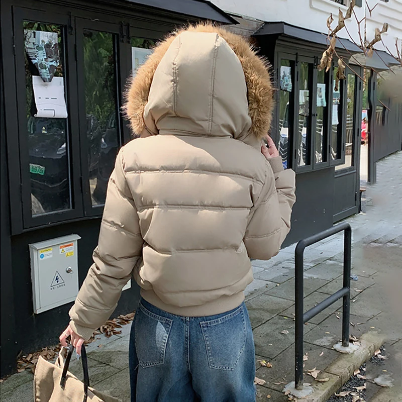 Grande gola de pele com capuz curto roupas de algodão cor sólida manga comprida zíper acolchoado casaco chique engrossado quente amassado jaqueta