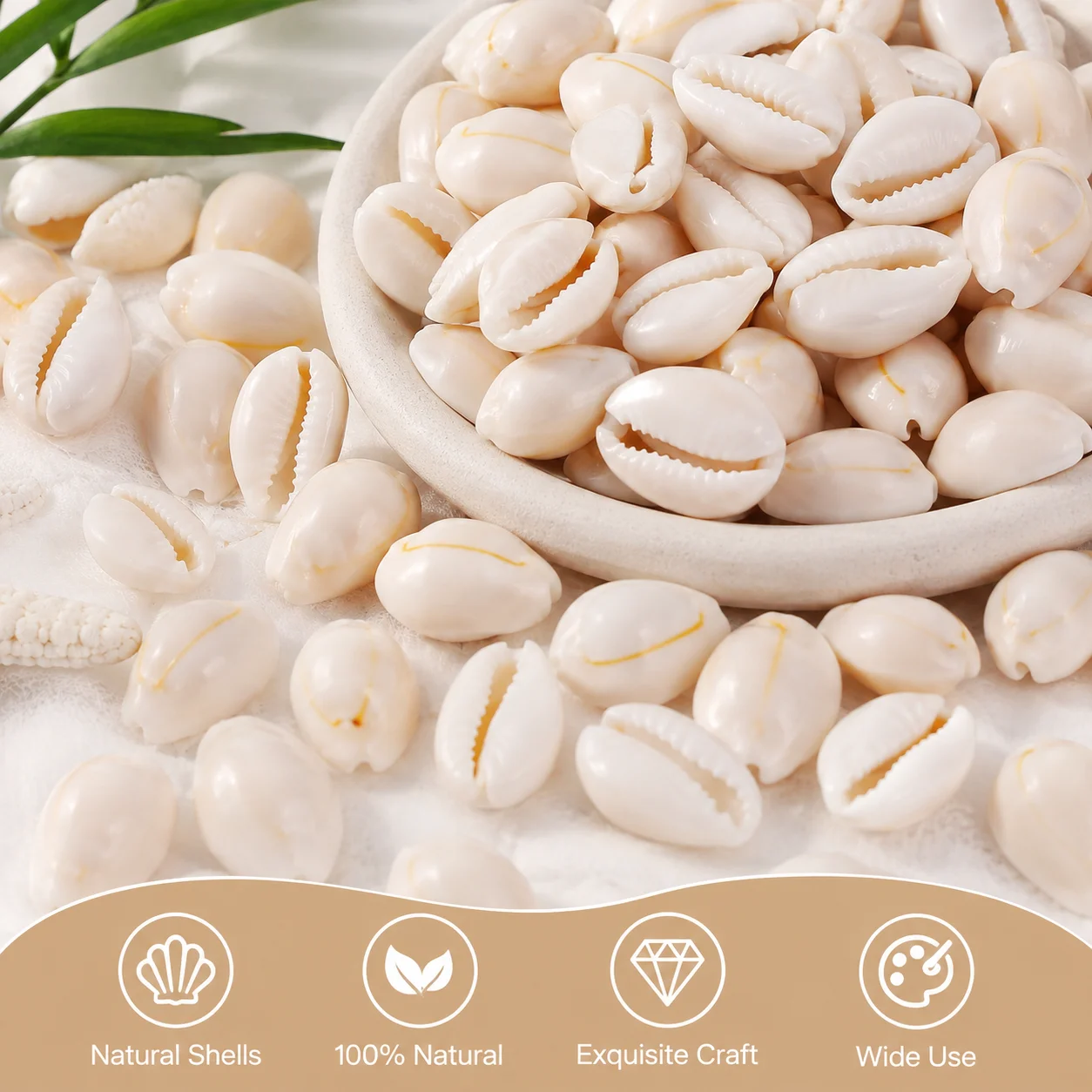 Natural White Cowrie Shells for Jewelry Making DIY Crafts Beach Decor Seashells for Necklace Bracelet Home Wedding Decoration