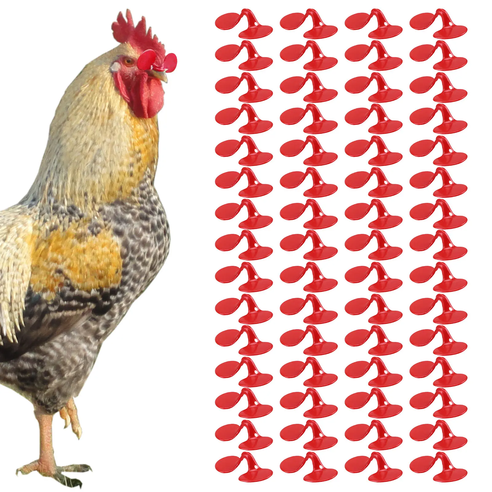 60Pcs Chicken Duck Drinking Cup Automatic Drinker Chicken Feeder Plastic Poultry Farm Water Drinking Cups Easy Installation